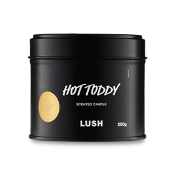 Hot Toddy Single Wick Candle